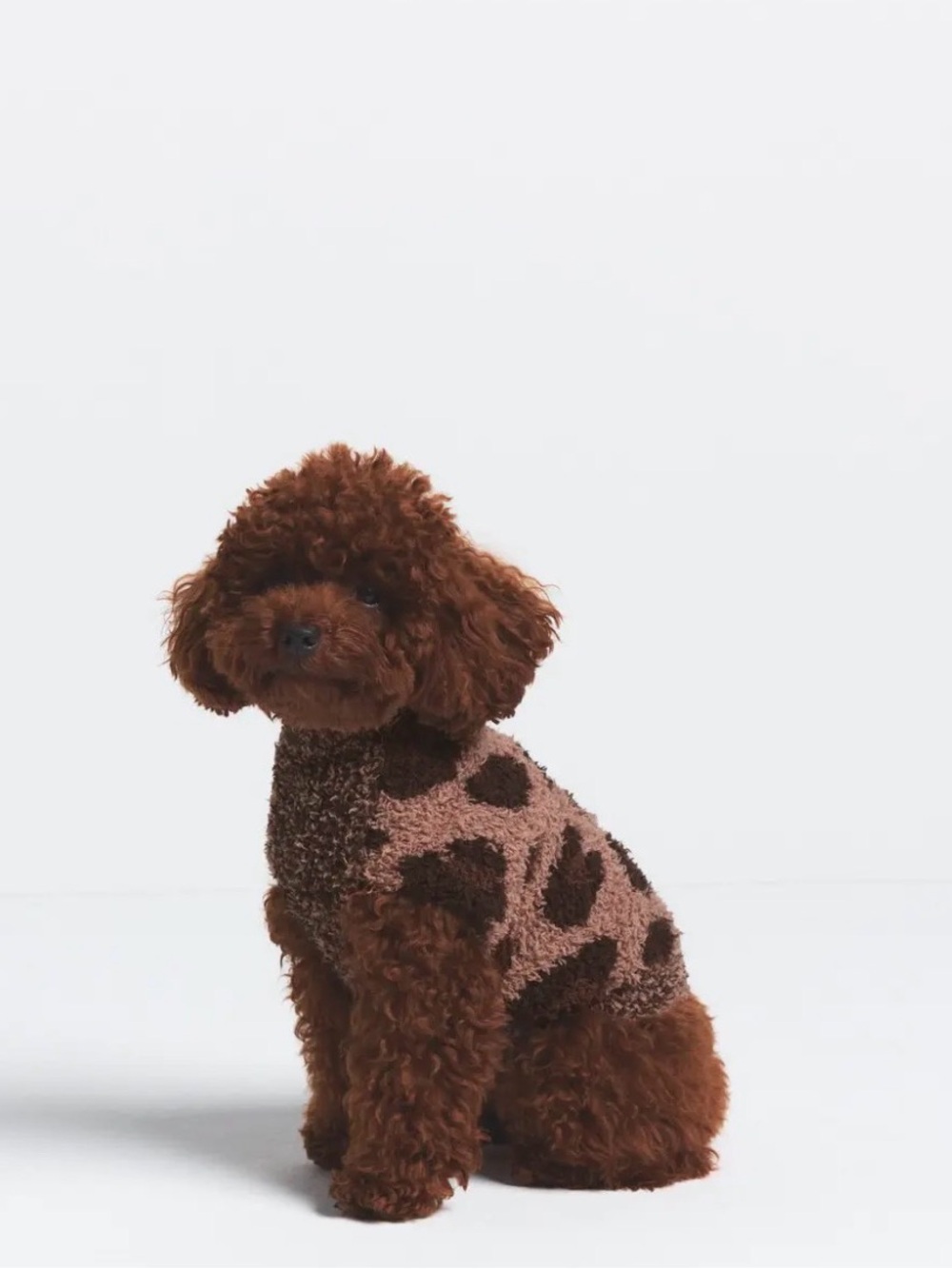 SKIMS COZY KNIT PET SWEATERS SIENNA LEOPARD PRINT M